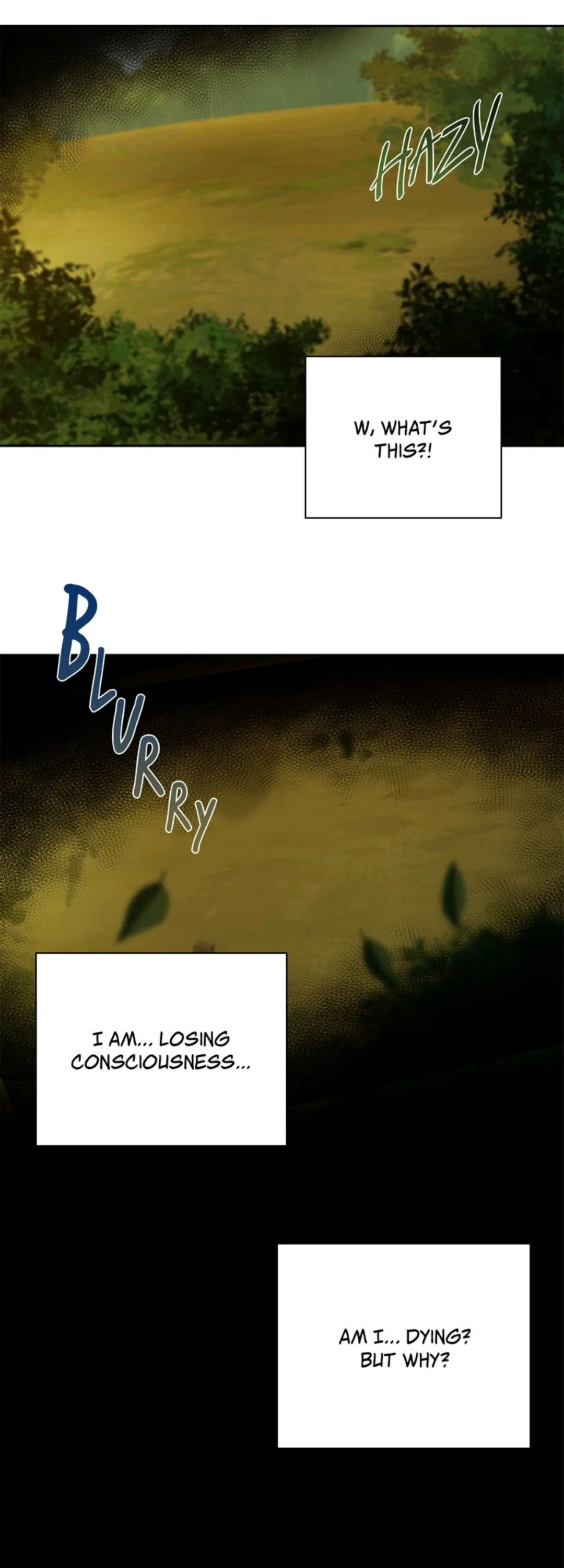 5154724 1080 3000 112658